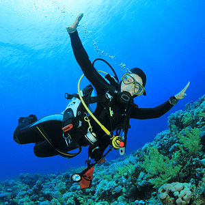 Adventures travel scuba diving