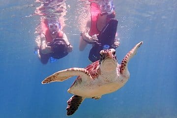 Adventure travel snorkeling