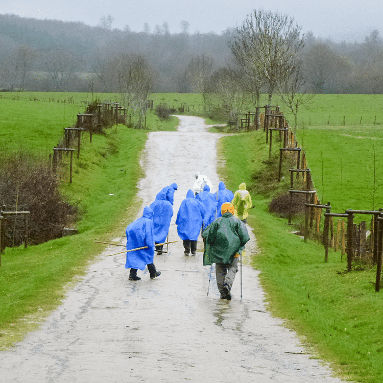 people hiking a trail in the rain