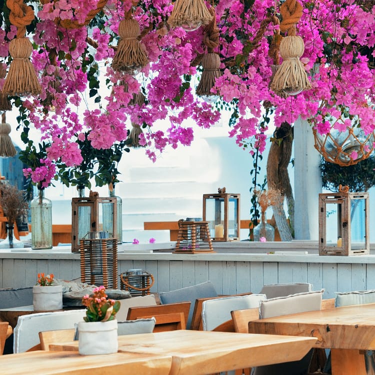 Street café with dark pink hanging flowers above tables.