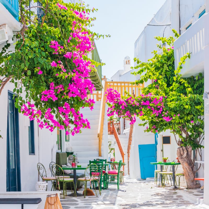 The narrow street with bright pink flowered hanging baskets on white buildings.